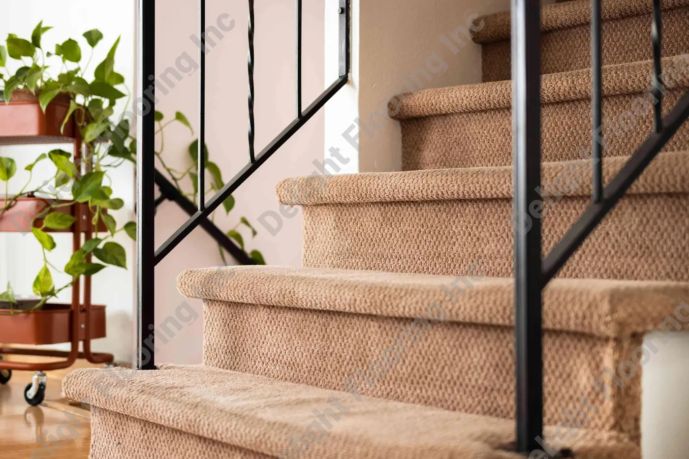 Staircase featuring carpeted treads and risers, offering a soft and comfortable surface to walk on.